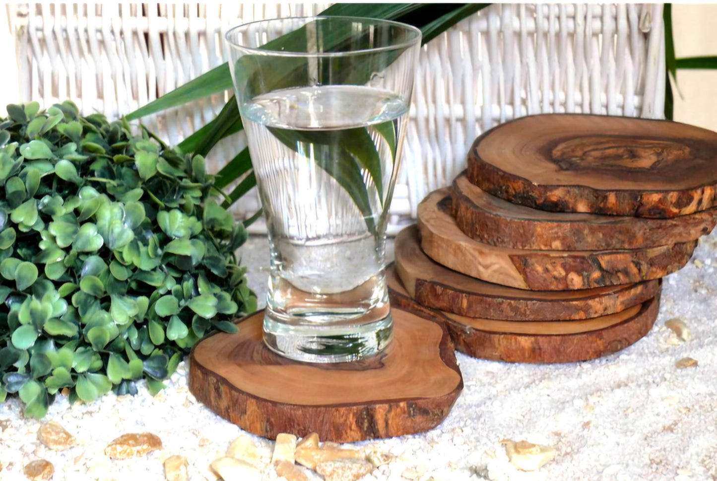 Lot de 6 sous-verres rustiques en bois d’olivier – Ø 10 à 12 cm