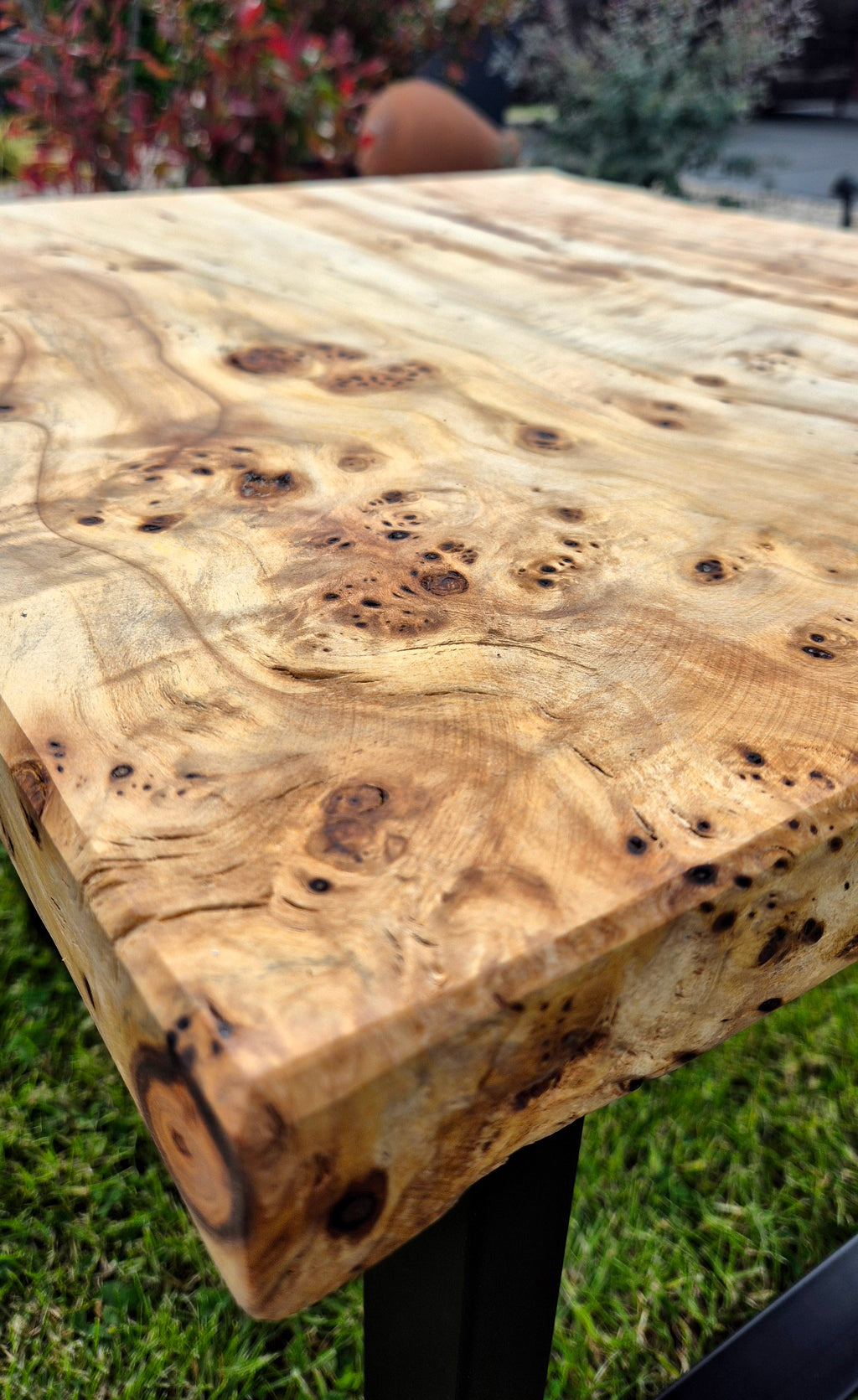 Table basse en loupe de peuplier (Poplar Burl)