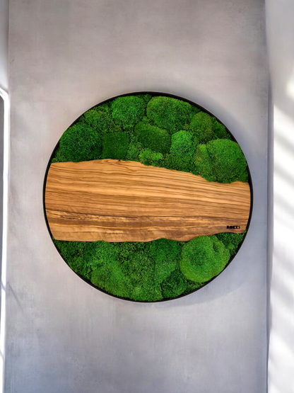 Cadre végétal 60cm avec bois d'olivier et mousse stabilisée