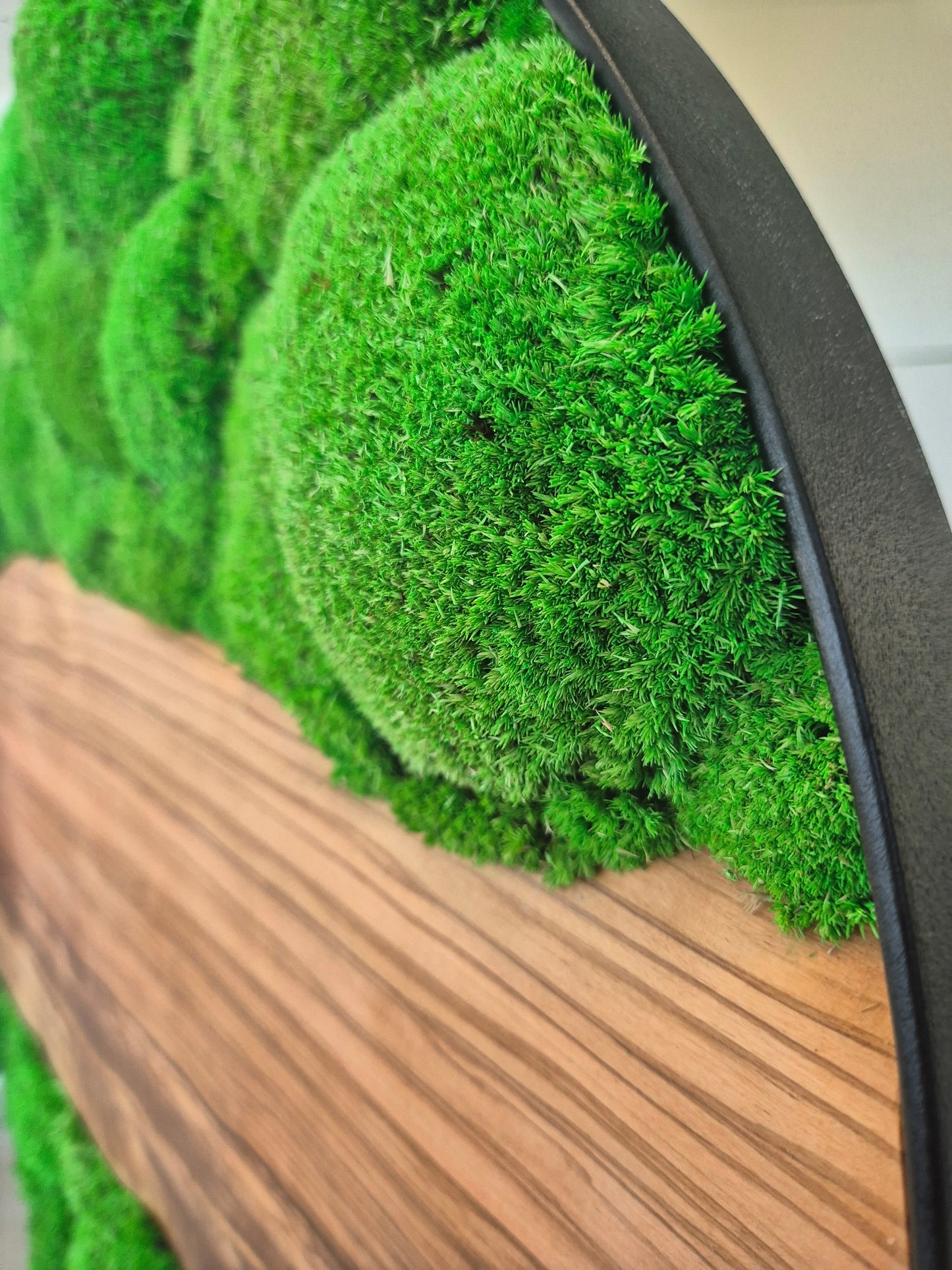 Cadre végétal 60cm avec bois d'olivier et mousse stabilisée