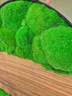 Cadre végétal 60cm avec bois d'olivier et mousse stabilisée