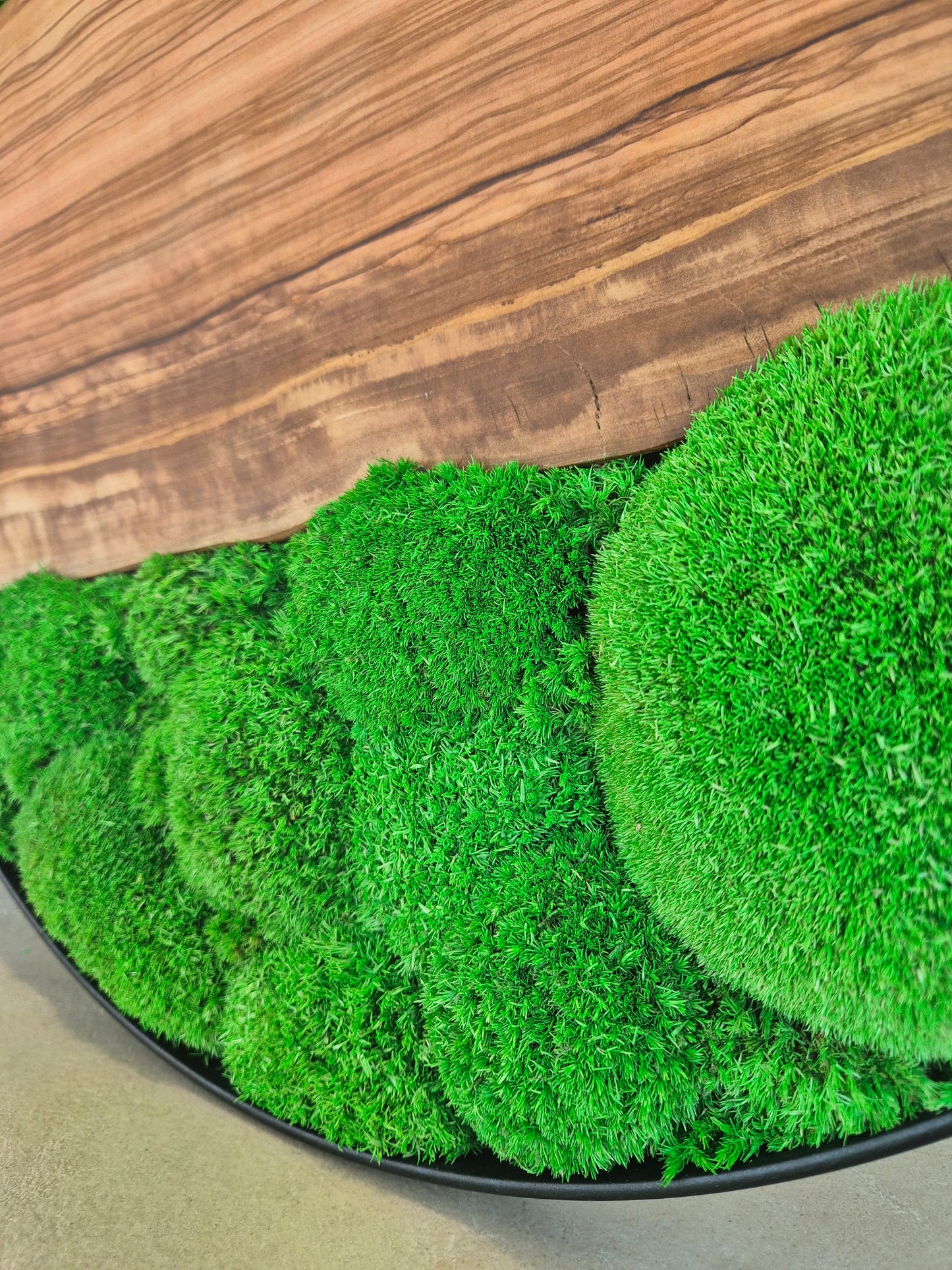Cadre végétal 60cm avec bois d'olivier et mousse stabilisée