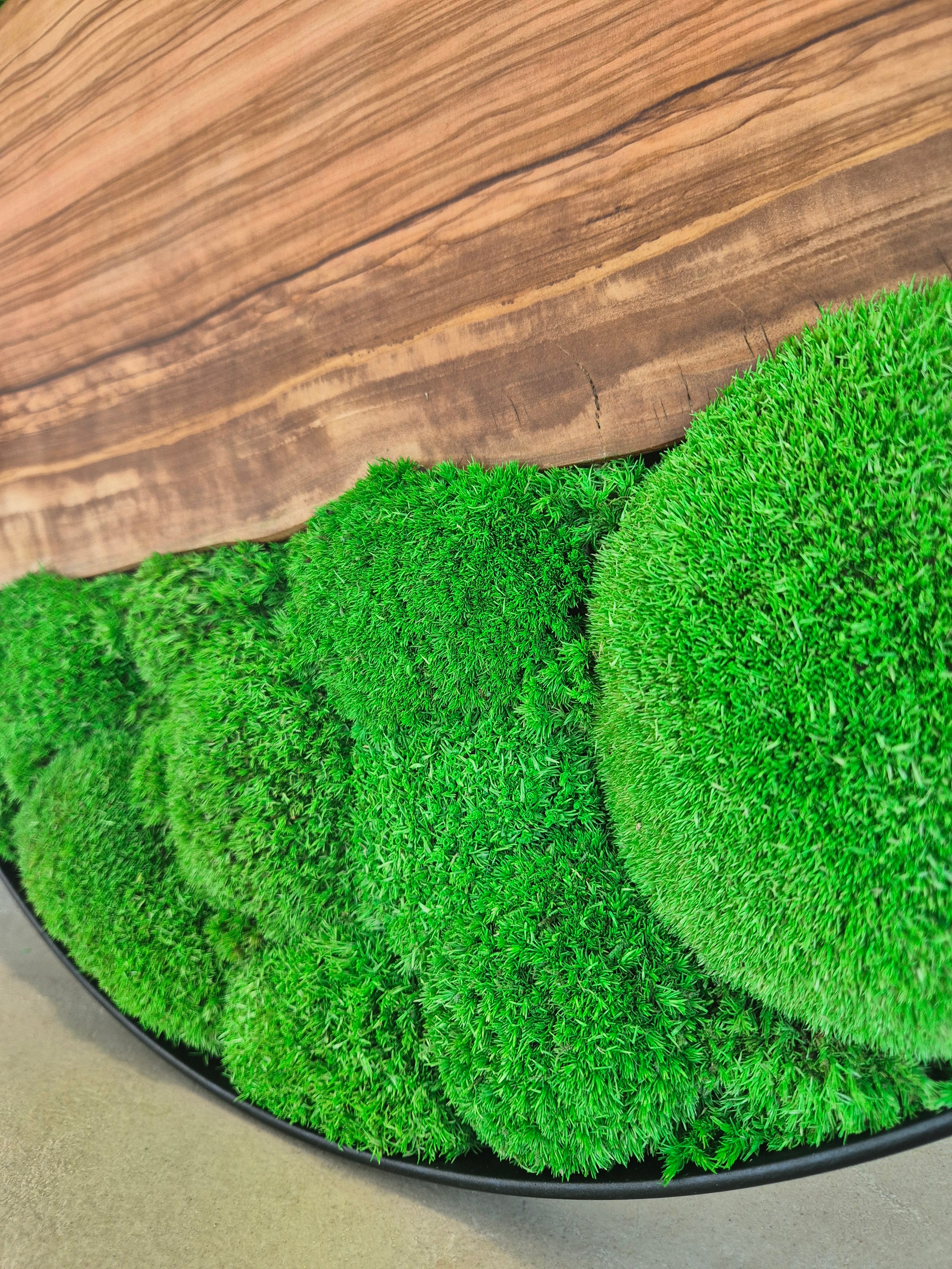 Cadre végétal 60cm avec bois d'olivier et mousse stabilisée