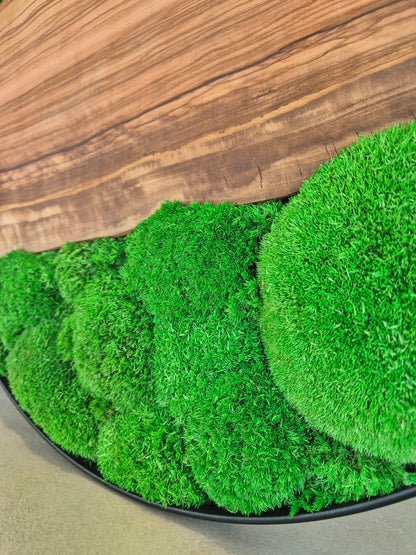 Cadre végétal 60cm avec bois d'olivier et mousse stabilisée