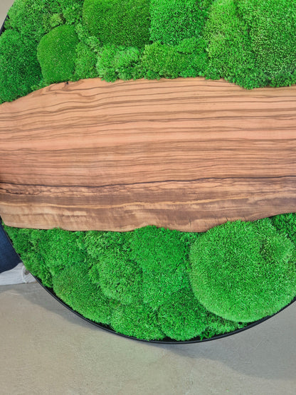 Cadre végétal 60cm avec bois d'olivier et mousse stabilisée
